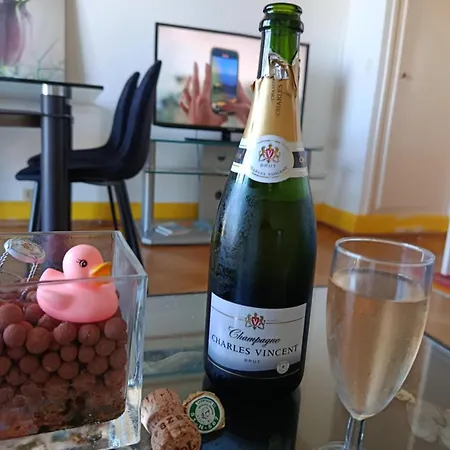 Spacieux Et Chic Le Havre, Capacite 2 Personnes Ou Famille 3 Personnes,1 Chambre, Baignoire * لو هافر